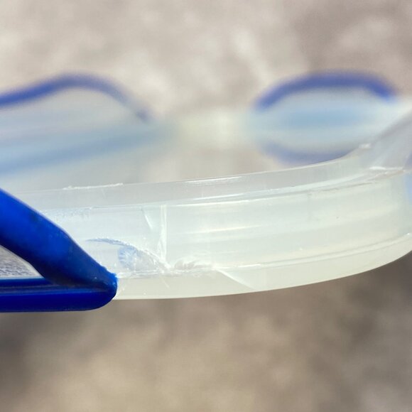 Hefty Clear & Blue Plastic 12-Egg Storage Container With Locking Lid BPA Free - Picture 9 of 16